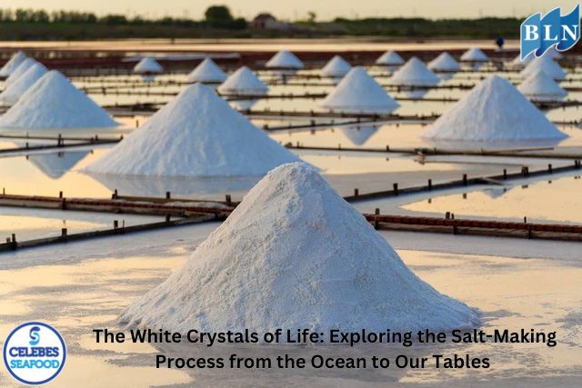 The White Crystals of Life: Exploring the Salt-Making Process from the Ocean to Our Tables